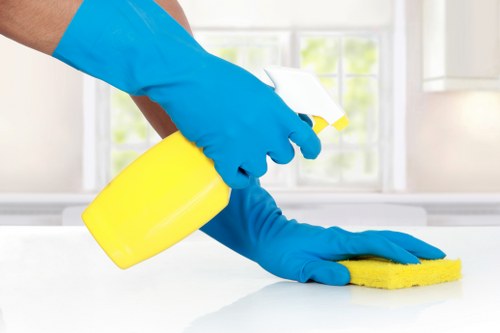 Carpet cleaning equipment used in a SW14 home