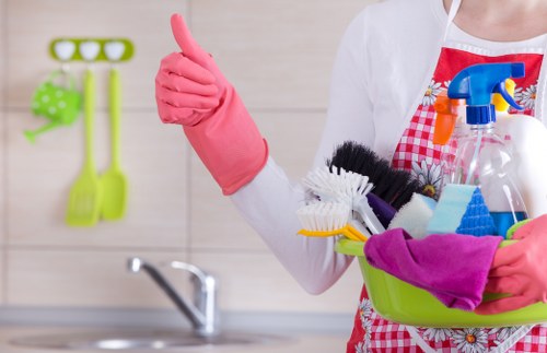 Bathroom domestic cleaning and hygiene in SW14