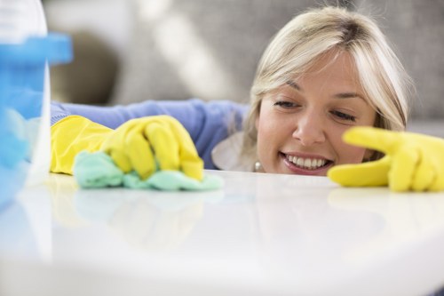 Professional carpet care service in a SW14 property