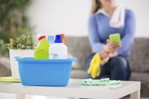 Room-by-room carpet cleaning for stairs and hallways