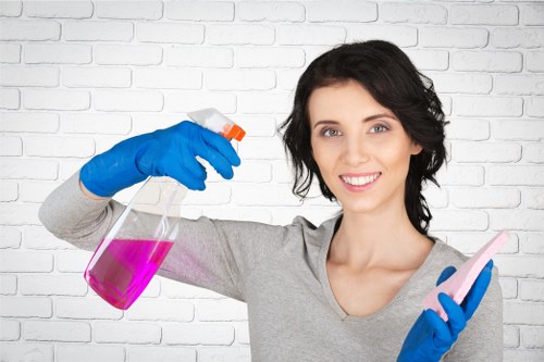 High-level facade cleaning service in SW14