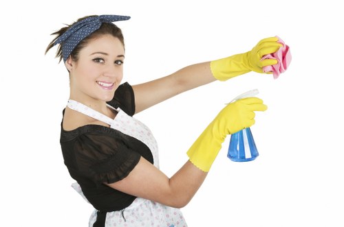 Inclusive design visual for accessible Carpet Cleaners SW14 content